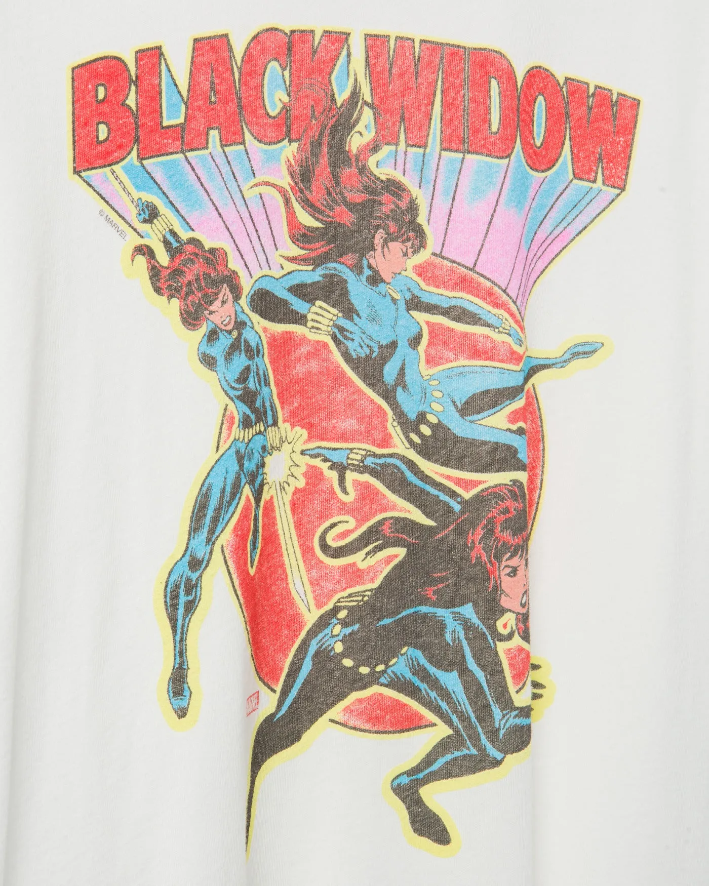 Black Widow Poses Vintage Tee