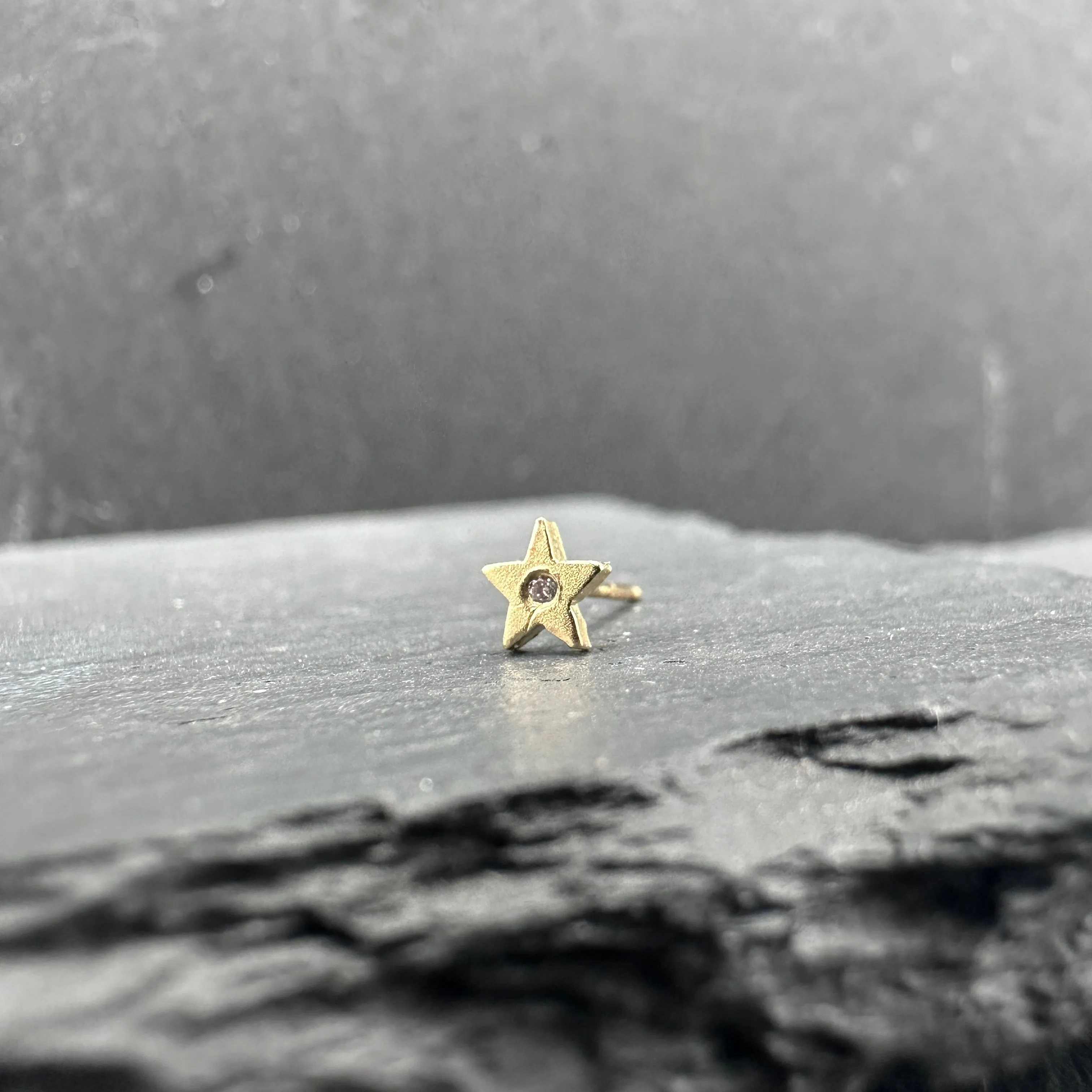 Gold Star Post Earring