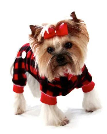 Hip Doggie Lumberjack Jumper
