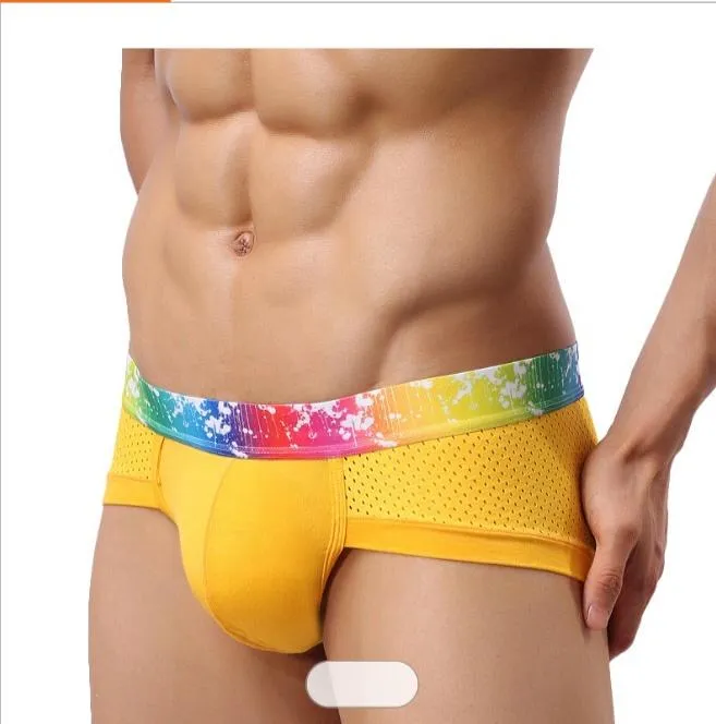 Panteasy's Sexy Colorful Rainbow Waistband Men's Underwear Boxer