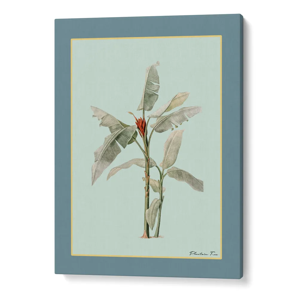 Plantain Tree III - Teal