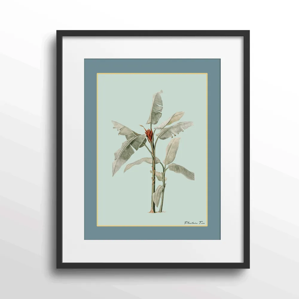 Plantain Tree III - Teal