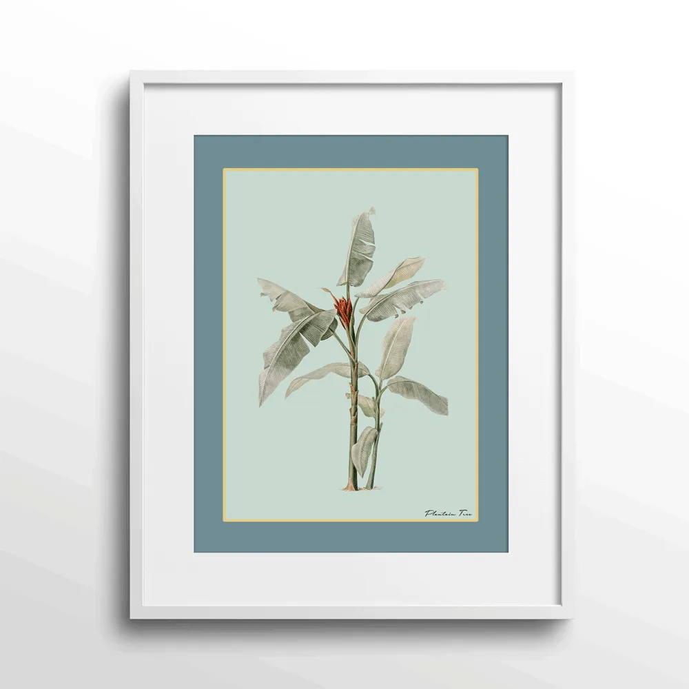 Plantain Tree III - Teal