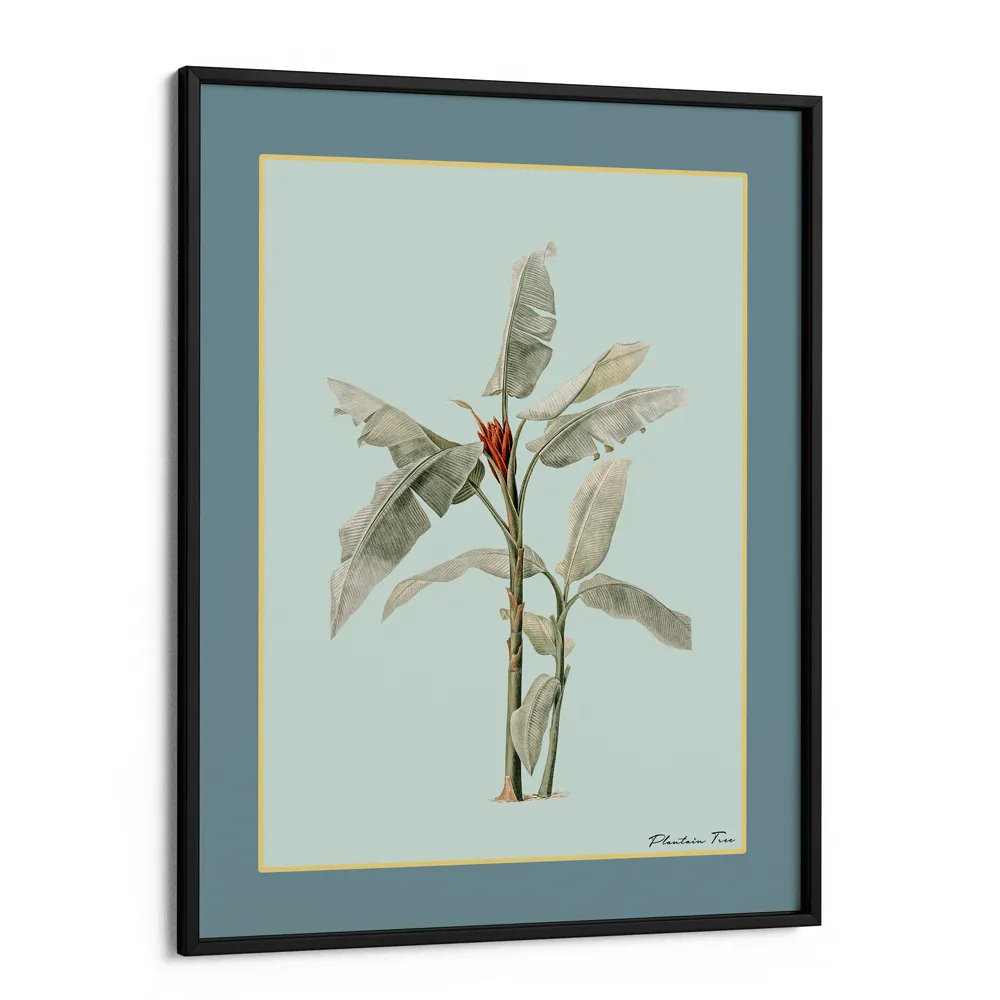 Plantain Tree III - Teal