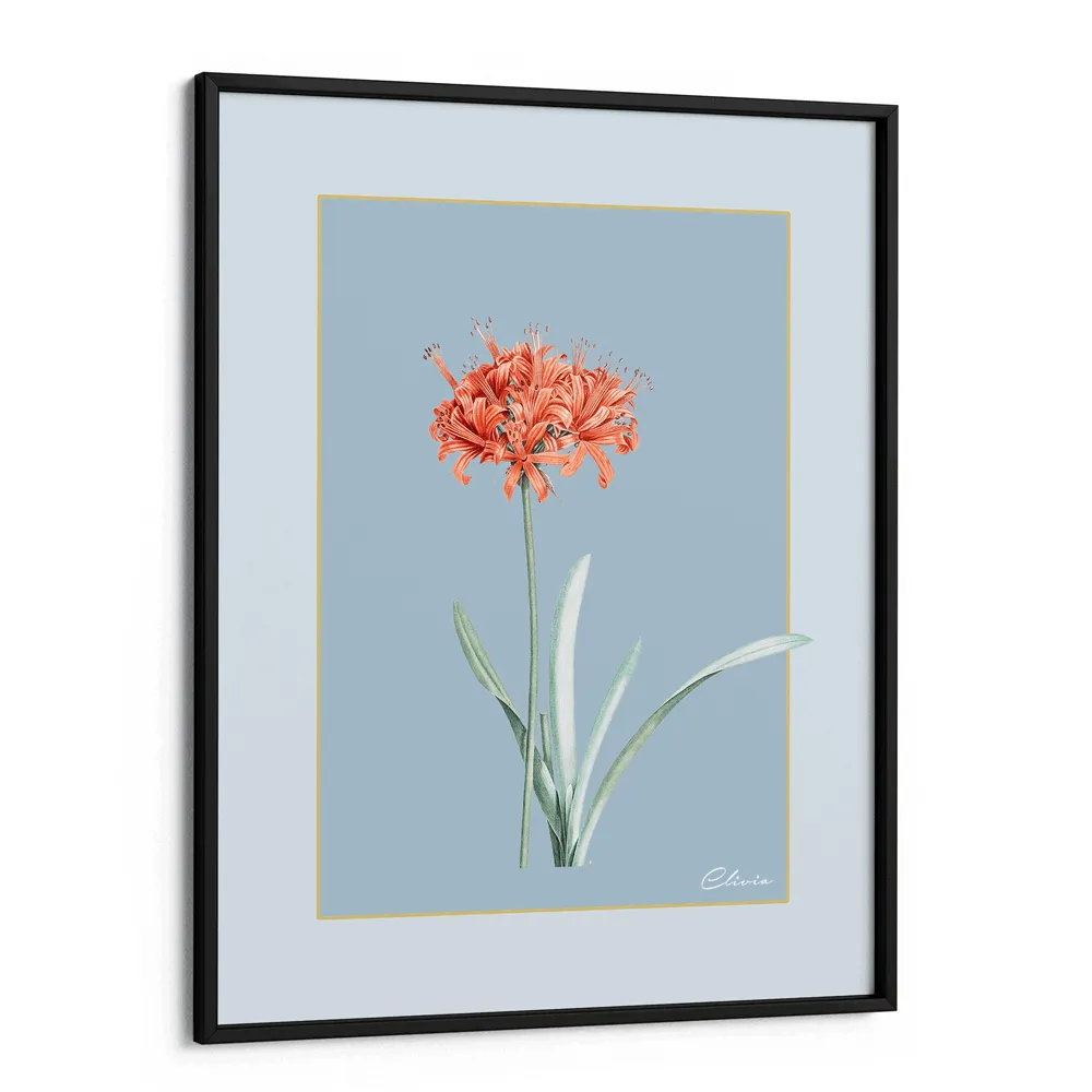 Ruby Blossom - Powder Blue