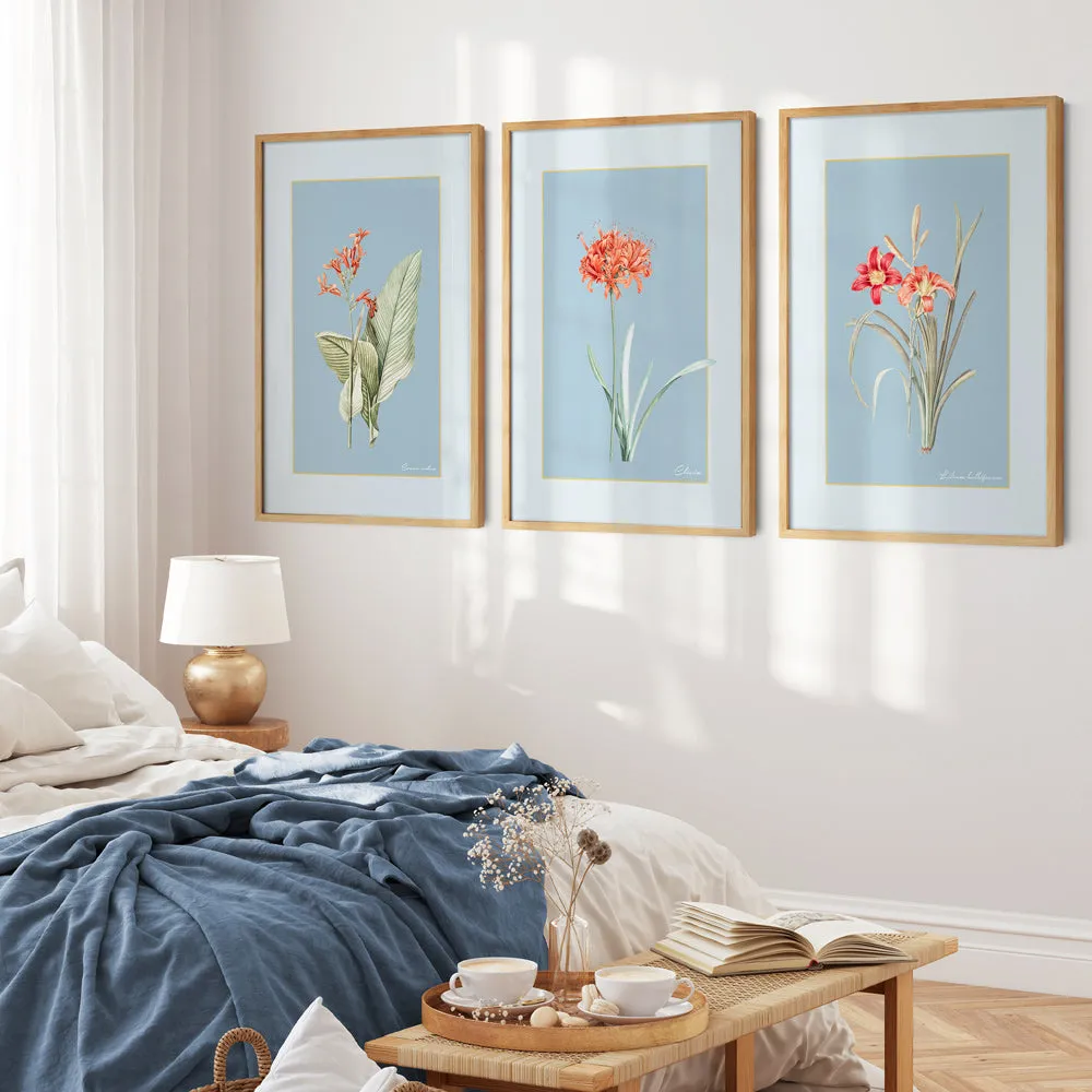 Ruby Blossom - Powder Blue