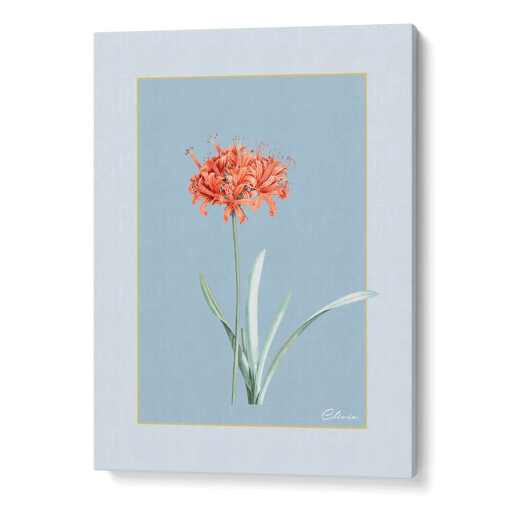 Ruby Blossom - Powder Blue