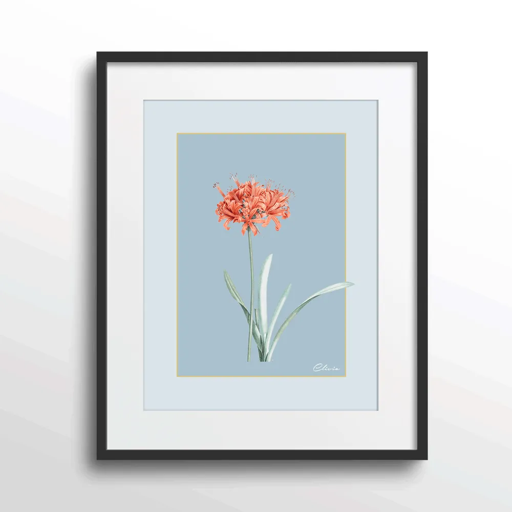 Ruby Blossom - Powder Blue