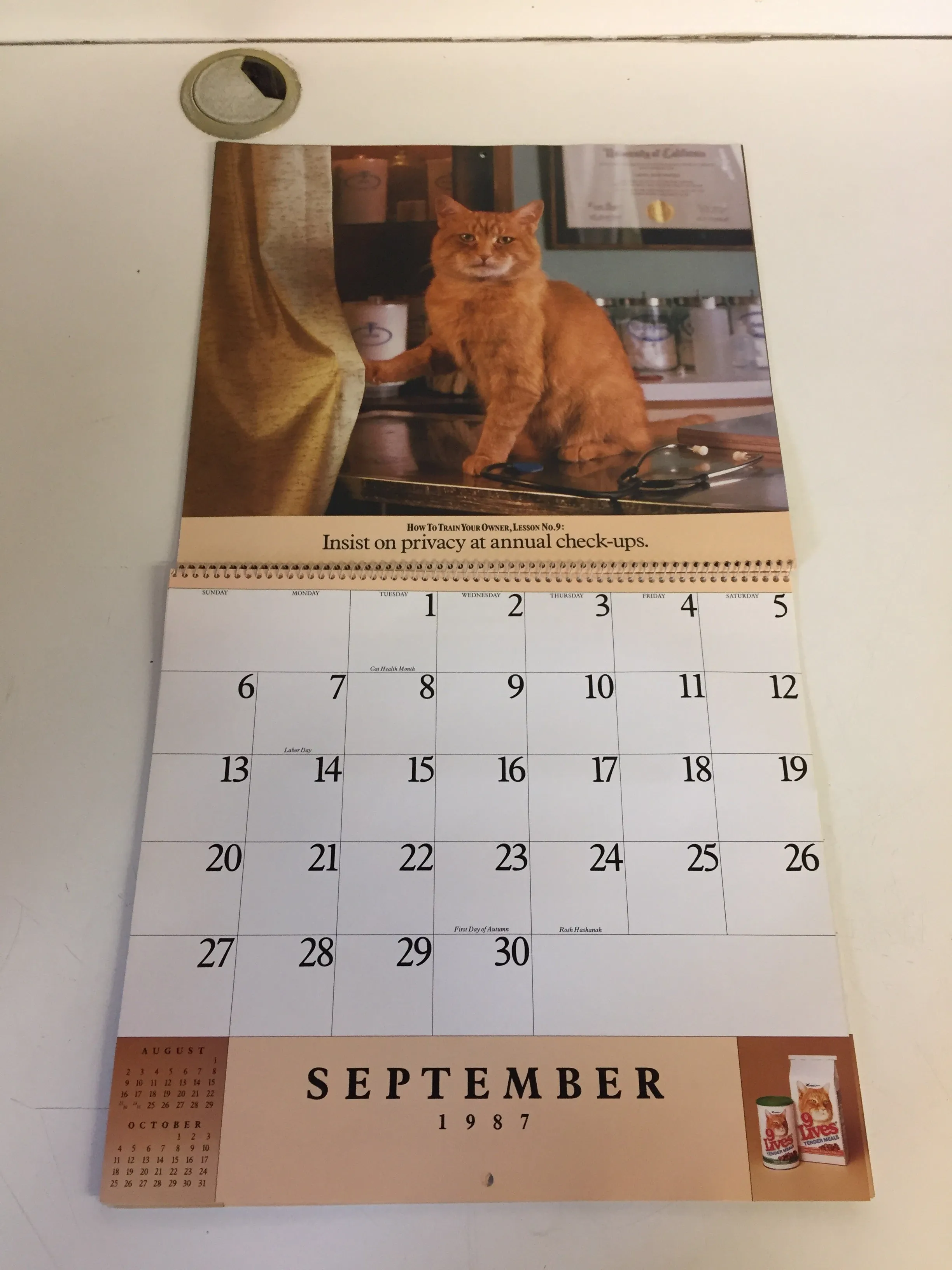 Vintage 1987 HOW TO TRAIN YOUR OWNER CALENDAR Morris The Cat 9-LIVES ADVERTISING