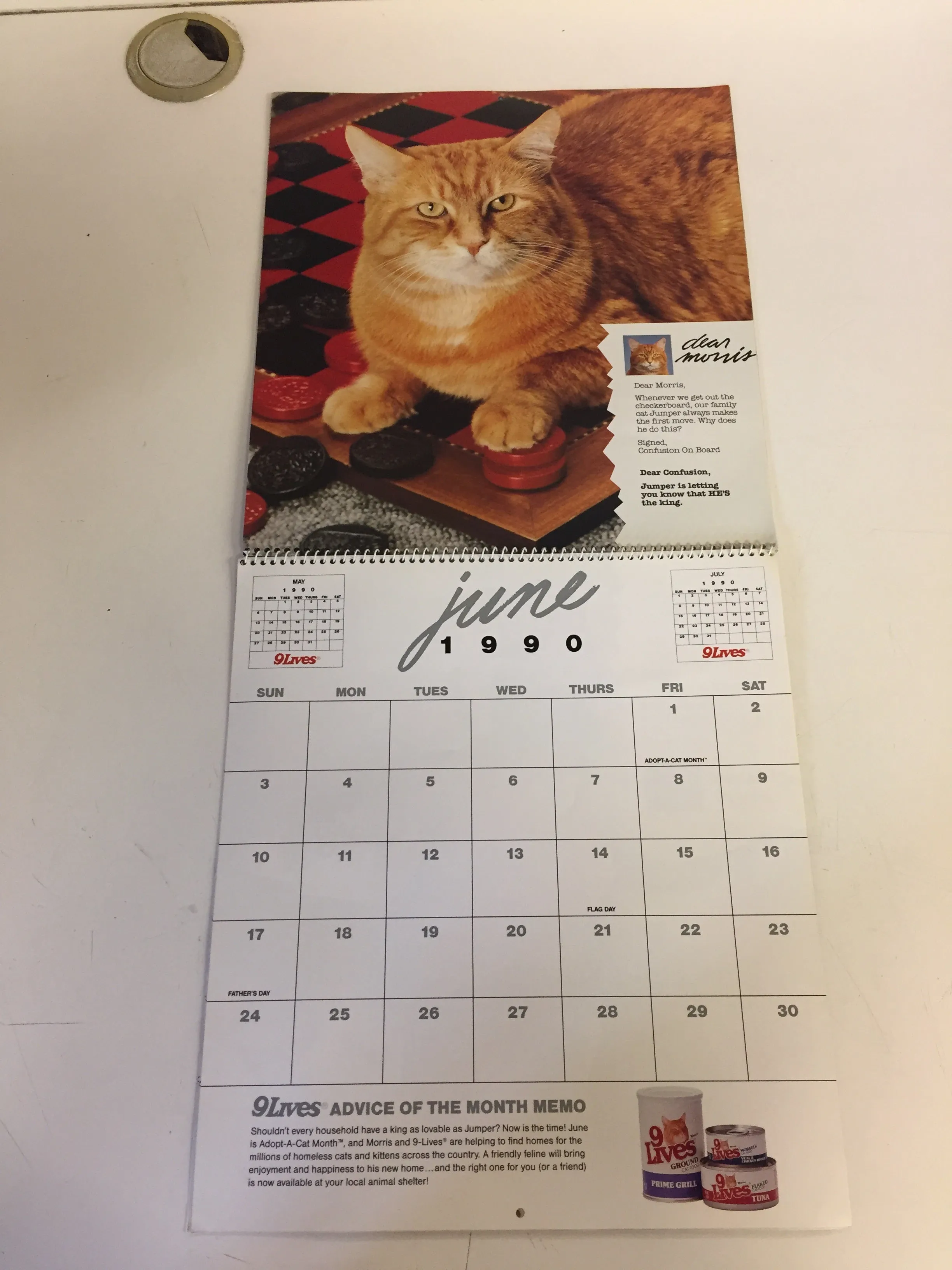 Vintage 1990 DEAN MORRIS CALENDAR Morris The Cat 9-LIVES ADVERTISING